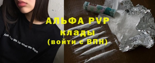 PSILOCYBIN Кулебаки