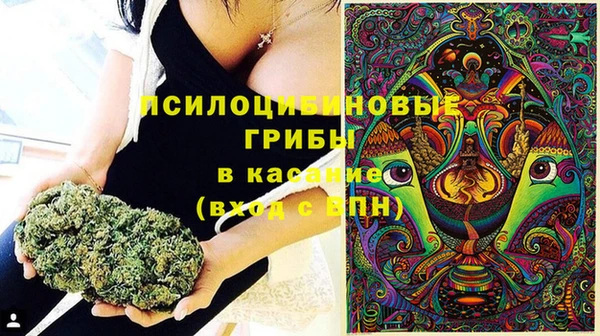 PSILOCYBIN Кулебаки