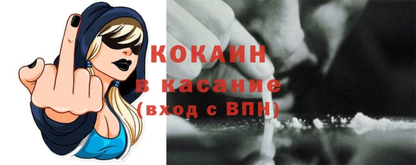 PSILOCYBIN Кулебаки