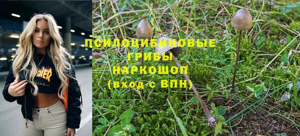 PSILOCYBIN Кулебаки