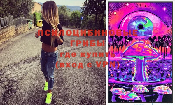 PSILOCYBIN Кулебаки