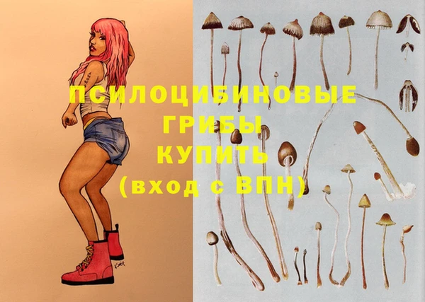 дживик Красноперекопск