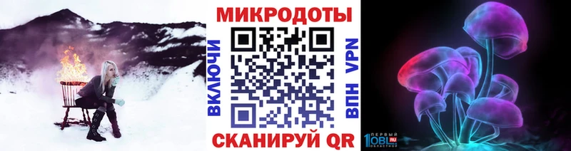 Псилоцибиновые грибы Psilocybine cubensis  KRAKEN как зайти  Кукмор  как найти закладки 
